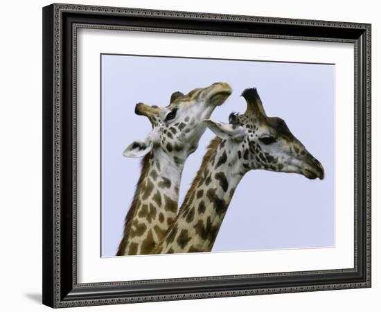 You're Mine 1-Art Wolfe-Framed Photographic Print