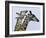 You're Mine 1-Art Wolfe-Framed Photographic Print