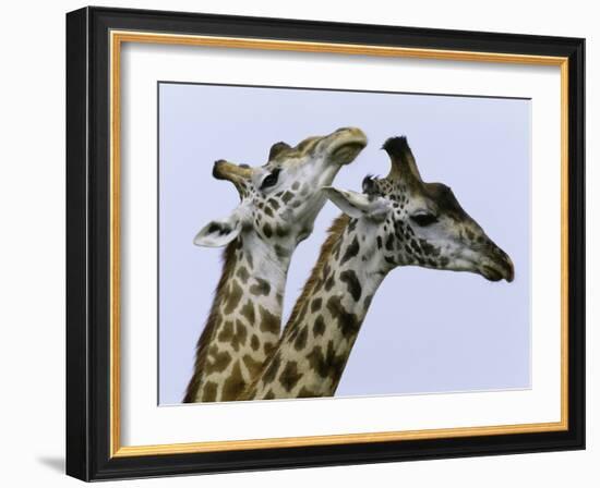 You're Mine 1-Art Wolfe-Framed Photographic Print