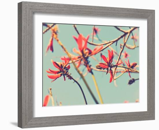 You’re So Far Away-Myan Soffia-Framed Photographic Print