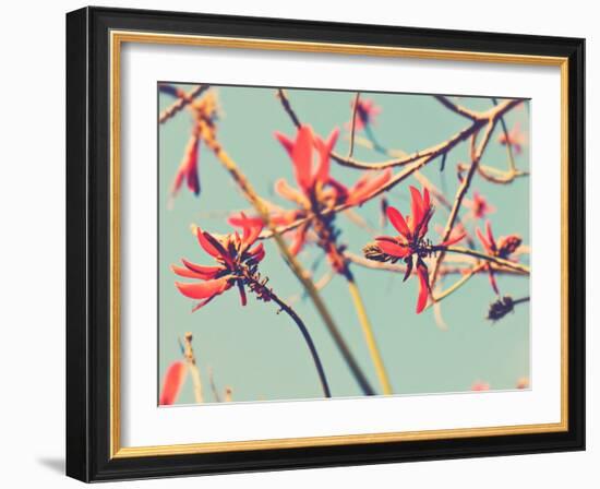 You’re So Far Away-Myan Soffia-Framed Photographic Print