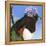 You Silly Bird - Donna-Dlynn Roll-Framed Stretched Canvas