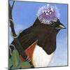 You Silly Bird - Donna-Dlynn Roll-Mounted Art Print