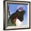 You Silly Bird - Donna-Dlynn Roll-Framed Art Print