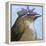 You Silly Bird - Walter-Dlynn Roll-Framed Stretched Canvas