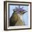 You Silly Bird - Walter-Dlynn Roll-Framed Art Print