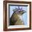 You Silly Bird - Walter-Dlynn Roll-Framed Art Print