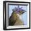 You Silly Bird - Walter-Dlynn Roll-Framed Art Print