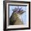 You Silly Bird - Walter-Dlynn Roll-Framed Art Print