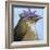 You Silly Bird - Walter-Dlynn Roll-Framed Art Print