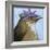 You Silly Bird - Walter-Dlynn Roll-Framed Art Print