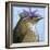 You Silly Bird - Walter-Dlynn Roll-Framed Art Print