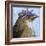 You Silly Bird - Walter-Dlynn Roll-Framed Art Print