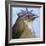 You Silly Bird - Walter-Dlynn Roll-Framed Art Print