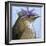 You Silly Bird - Walter-Dlynn Roll-Framed Art Print