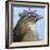 You Silly Bird - Walter-Dlynn Roll-Framed Art Print