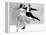 You Were Never Lovelier, Rita Hayworth, Fred Astaire, 1942-null-Framed Stretched Canvas