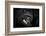 YOU ....-Antje Wenner-Braun-Framed Photographic Print