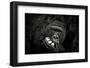 YOU ....-Antje Wenner-Braun-Framed Photographic Print