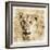 Young Africa Lion-Susann Parker-Framed Photographic Print