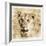 Young Africa Lion-Susann Parker-Framed Photographic Print