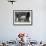 Young African Elephant, Loxodonta Africana, with Adult Group, Etosha National Park, Namibia, Africa-Ann & Steve Toon-Framed Photographic Print displayed on a wall