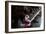 Young Alter Boys-Felipe Rodriguez-Framed Photographic Print