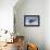 Young American Oystercatcher (Haematopus Palliatus) Snatching Food from Adult on the Shoreline-Mateusz Piesiak-Framed Premier Image Canvas displayed on a wall