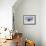 Young American Oystercatcher (Haematopus Palliatus) Snatching Food from Adult on the Shoreline-Mateusz Piesiak-Framed Photographic Print displayed on a wall