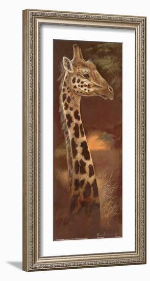 Young and Curious-Ruane Manning-Framed Art Print