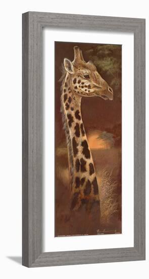 Young and Curious-Ruane Manning-Framed Art Print