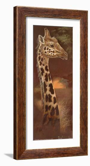 Young and Curious-Ruane Manning-Framed Art Print