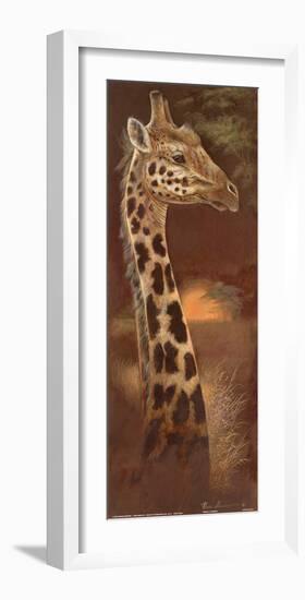 Young and Curious-Ruane Manning-Framed Art Print