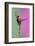 Young and Graceful Ballet Dancer Isolated on Gradient Pink-Green Studio Background in Neon Light. A-master1305-Framed Photographic Print