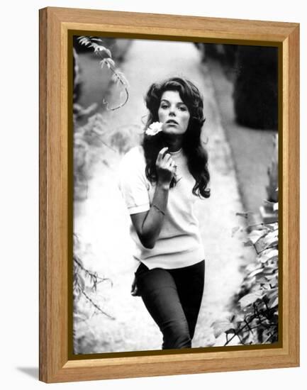 Young and Willing the Wild and the Willing De Ralphthomas Avec Samantha Eggar 1962-null-Framed Stretched Canvas