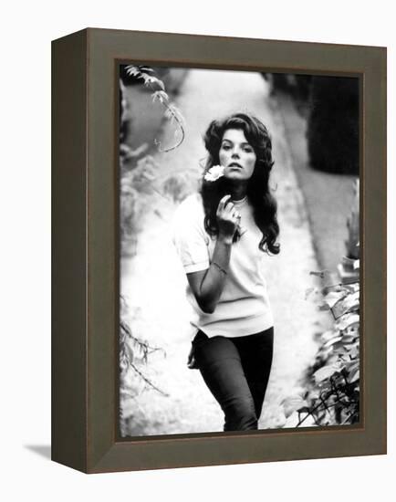 Young and Willing the Wild and the Willing De Ralphthomas Avec Samantha Eggar 1962-null-Framed Stretched Canvas