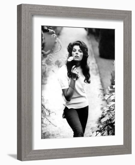 Young and Willing the Wild and the Willing De Ralphthomas Avec Samantha Eggar 1962-null-Framed Photo