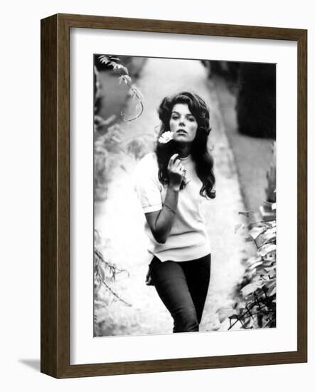 Young and Willing the Wild and the Willing De Ralphthomas Avec Samantha Eggar 1962-null-Framed Photo