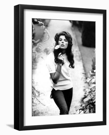 Young and Willing the Wild and the Willing De Ralphthomas Avec Samantha Eggar 1962-null-Framed Photo