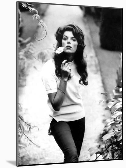 Young and Willing the Wild and the Willing De Ralphthomas Avec Samantha Eggar 1962-null-Mounted Photo
