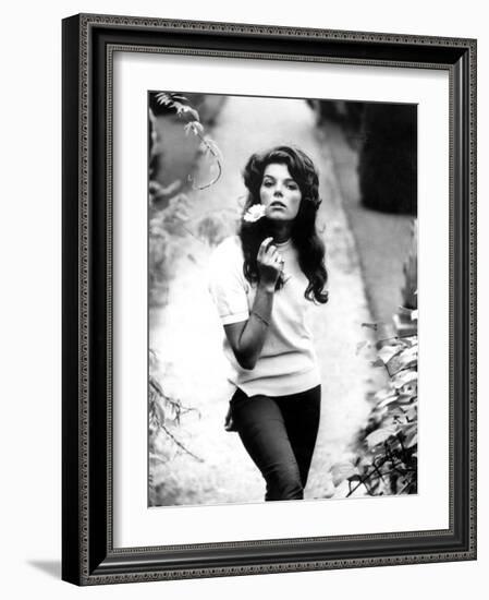 Young and Willing the Wild and the Willing De Ralphthomas Avec Samantha Eggar 1962-null-Framed Photo