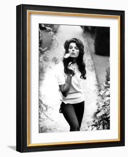 Young and Willing the Wild and the Willing De Ralphthomas Avec Samantha Eggar 1962-null-Framed Photo