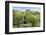 Young Antarctic fur seal (Arctocephalus gazella), Prion Island, South Georgia, Antarctica, Polar Re-Michael Runkel-Framed Photographic Print