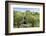 Young Antarctic fur seal (Arctocephalus gazella), Prion Island, South Georgia, Antarctica, Polar Re-Michael Runkel-Framed Photographic Print