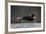 Young Beautiful Yoga Female Posing in Studio-AYakovlev-Framed Photographic Print