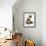 Young Birman-Cross Cat with Dwarf Lionhead Rabbit-Jane Burton-Framed Photographic Print displayed on a wall