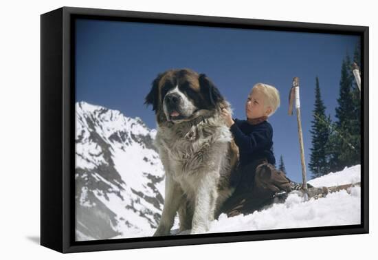 Young Blonde Boy on Skiis with St. Bernard Dog at Sun Valley Ski Resort, Idaho, April 22, 1947-George Silk-Framed Premier Image Canvas