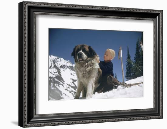 Young Blonde Boy on Skiis with St. Bernard Dog at Sun Valley Ski Resort, Idaho, April 22, 1947-George Silk-Framed Photographic Print