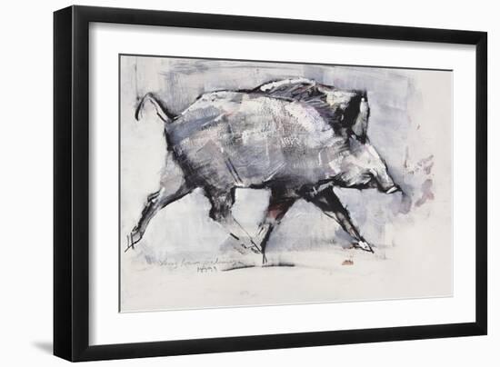 Young Boar, Bialowieza, Poland-Mark Adlington-Framed Giclee Print