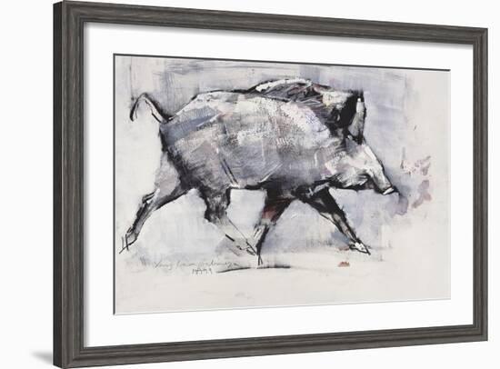 Young Boar, Bialowieza, Poland-Mark Adlington-Framed Giclee Print